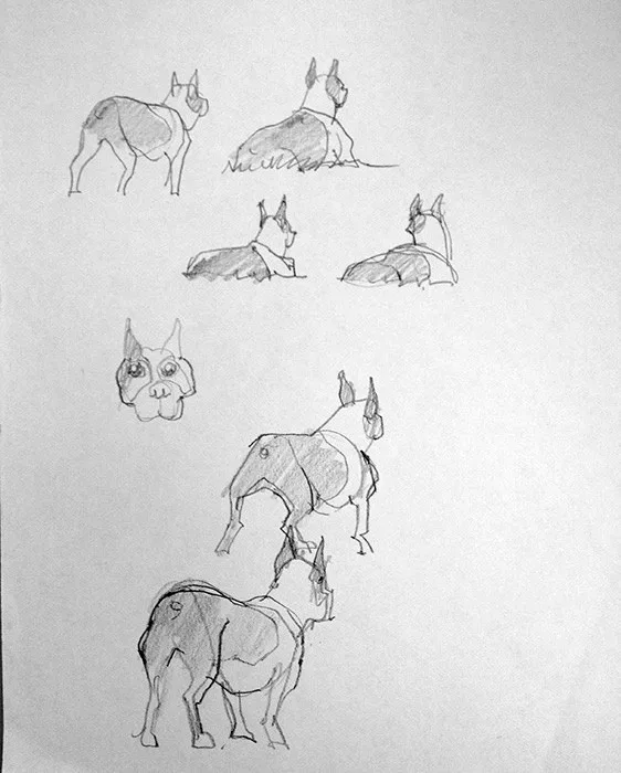 Dog Sketch, pencil on paper, 2013