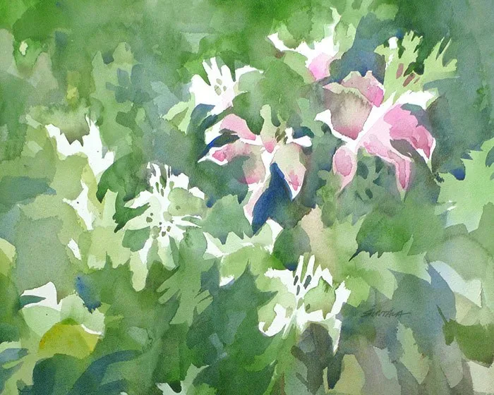 Cleomes, watercolor on paper, 2013