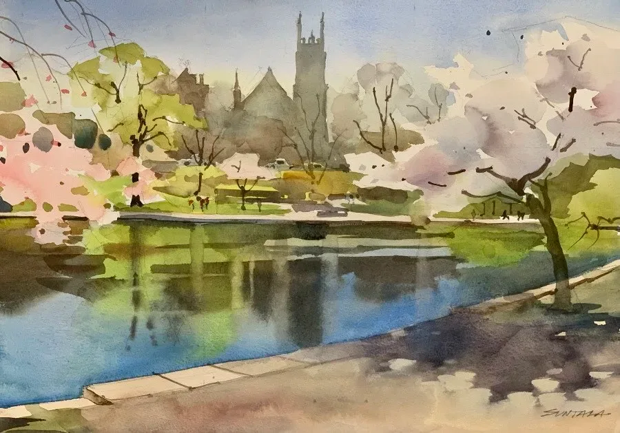 Watercolor of Wade Lagoon with flowering cherry trees in the foreground.