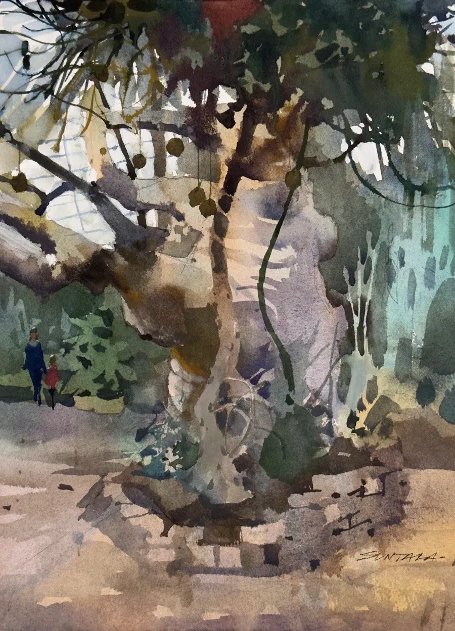 loose watercolor of the baobab tree in the Madagascar Greenhouse at the Cleveland Botanical Garden